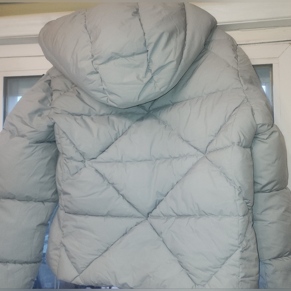 Size L - New Sam Edelman Hooded Crop Puffer Jacket In Navy - Picture 6 of 8